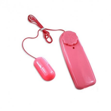 Bullet Vibrator 2 in 1