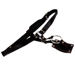 Harness Strap for Dildo with ring